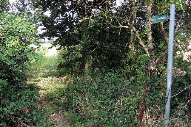 enclosed path through a copse near Ravensden